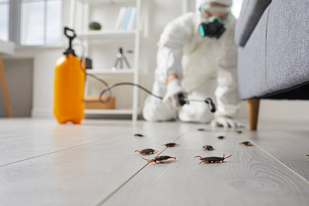 Commercial Kitchen Cockroach Control in County Center